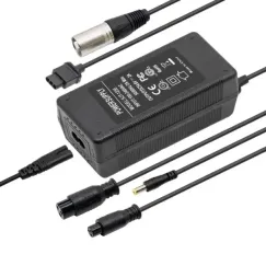 Chargeur 48V (sortie 54, 6v) 2A avec DC et | iMooving