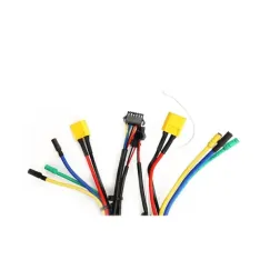 Contrôleur Dualtron Aminia Dual Moteur | iMooving
