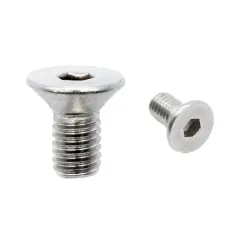 Vis inox charnière dualtron 10 pcs | iMooving