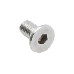 Vis inox charnière dualtron 10 pcs | iMooving
