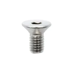 Vis inox charnière dualtron 10 pcs | iMooving