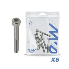 Vis de mât Dualtron Mini 6 pcs